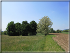 foto Paesaggi Collinari in Primavera